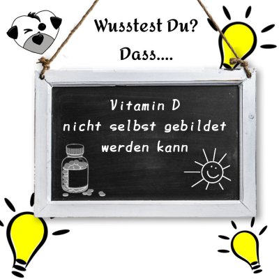 Warum Hunde Vitamin D benötigen und welche Lebensmittel es enthalten - Vitamin D für Hunde: Warum es wichtig ist und wie man es sicher zuführt